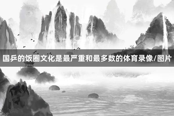国乒的饭圈文化是最严重和最多数的体育录像/图片