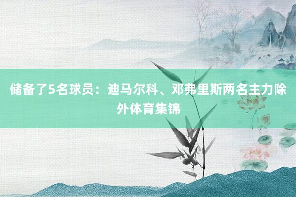 储备了5名球员：迪马尔科、邓弗里斯两名主力除外体育集锦