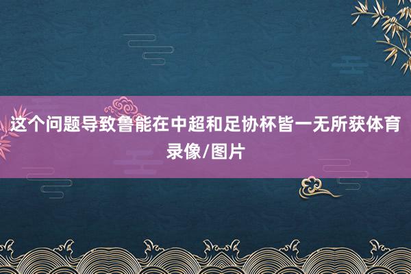 这个问题导致鲁能在中超和足协杯皆一无所获体育录像/图片