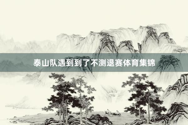 泰山队遇到到了不测退赛体育集锦