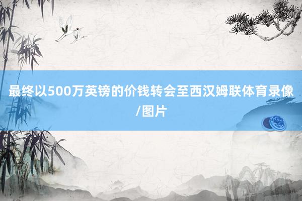 最终以500万英镑的价钱转会至西汉姆联体育录像/图片