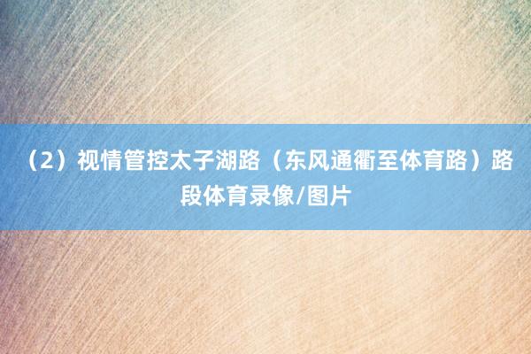（2）视情管控太子湖路（东风通衢至体育路）路段体育录像/图片