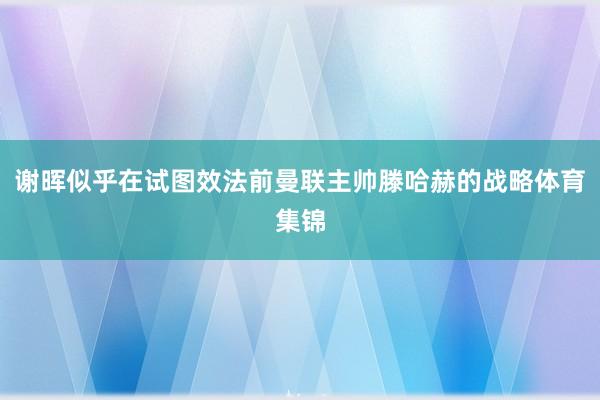 谢晖似乎在试图效法前曼联主帅滕哈赫的战略体育集锦