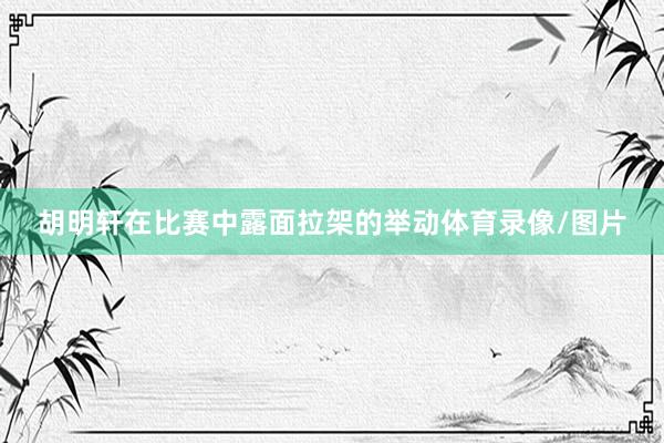 胡明轩在比赛中露面拉架的举动体育录像/图片