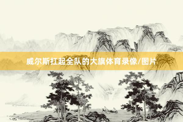威尔斯扛起全队的大旗体育录像/图片