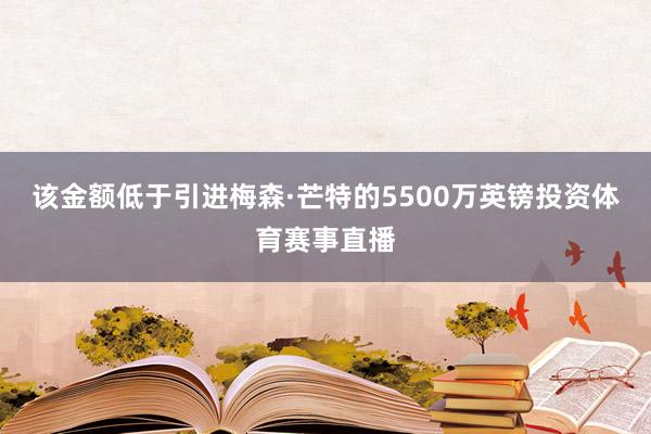 该金额低于引进梅森·芒特的5500万英镑投资体育赛事直播