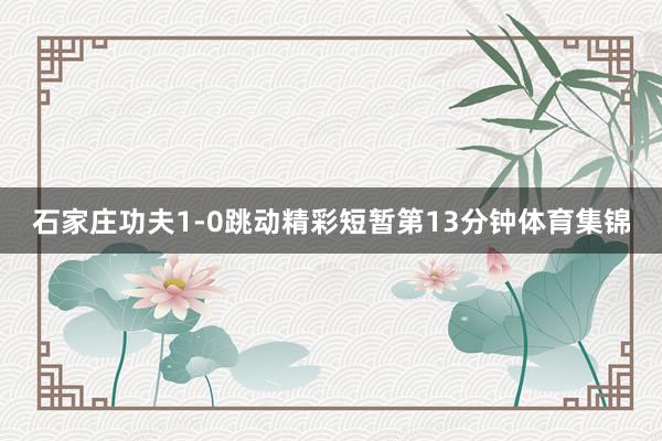 石家庄功夫1-0跳动精彩短暂第13分钟体育集锦