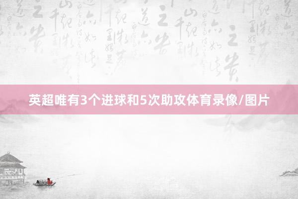 英超唯有3个进球和5次助攻体育录像/图片