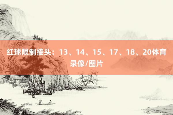 红球限制接头：13、14、15、17、18、20体育录像/图片