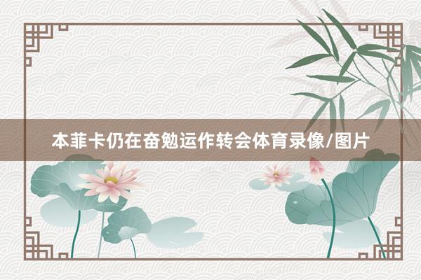 本菲卡仍在奋勉运作转会体育录像/图片