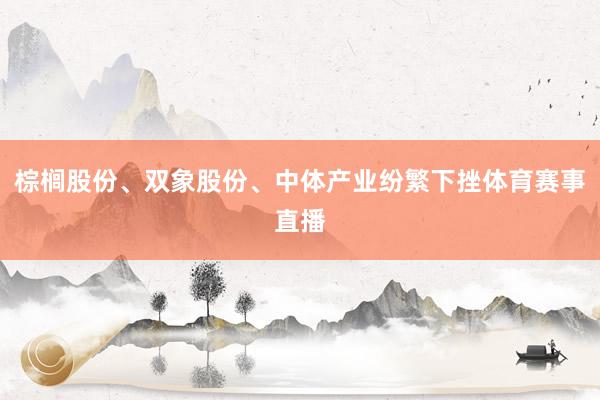 棕榈股份、双象股份、中体产业纷繁下挫体育赛事直播