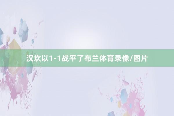 汉坎以1-1战平了布兰体育录像/图片