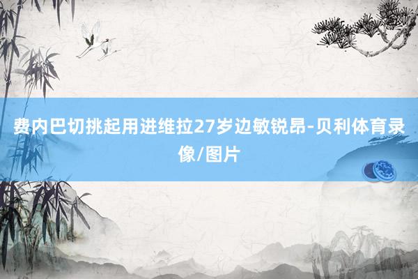 费内巴切挑起用进维拉27岁边敏锐昂-贝利体育录像/图片