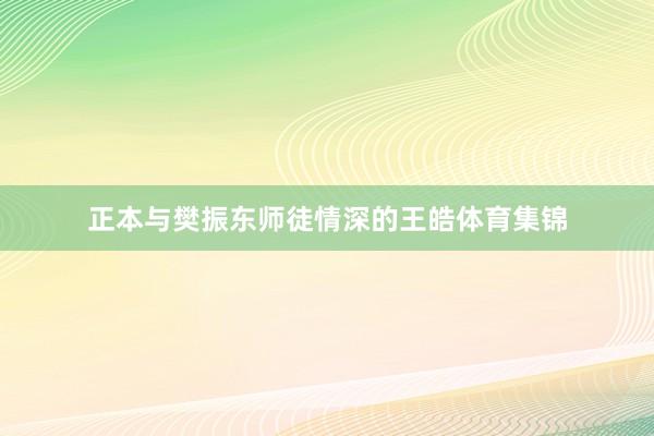 正本与樊振东师徒情深的王皓体育集锦