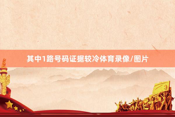 其中1路号码证据较冷体育录像/图片