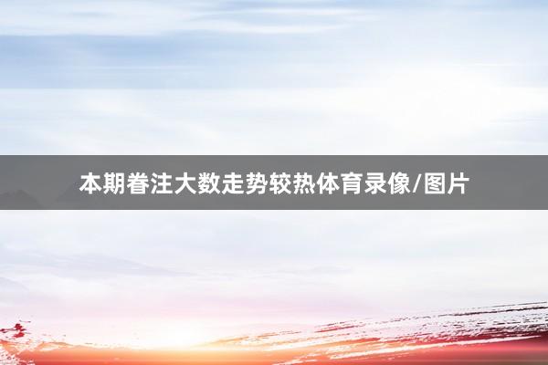 本期眷注大数走势较热体育录像/图片