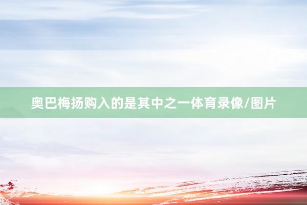 奥巴梅扬购入的是其中之一体育录像/图片