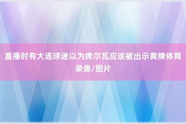 直播时有大连球迷以为席尔瓦应该被出示黄牌体育录像/图片