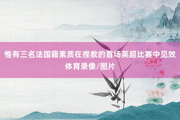 惟有三名法国籍素质在捏教的首场英超比赛中见效体育录像/图片