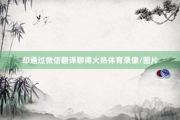 却通过微信翻译聊得火热体育录像/图片