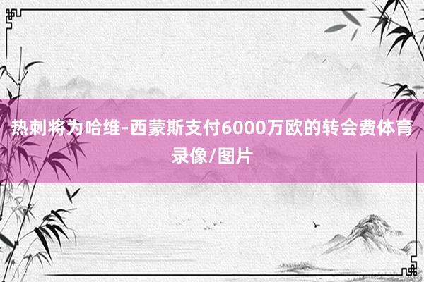 热刺将为哈维-西蒙斯支付6000万欧的转会费体育录像/图片