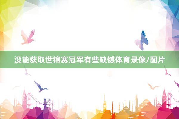 没能获取世锦赛冠军有些缺憾体育录像/图片