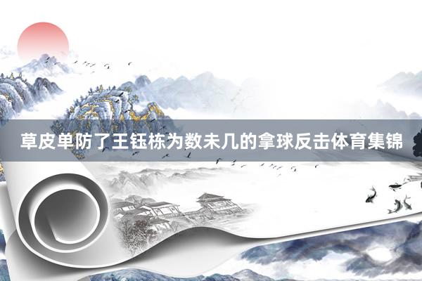 草皮单防了王钰栋为数未几的拿球反击体育集锦