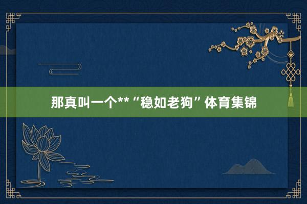 那真叫一个**“稳如老狗”体育集锦