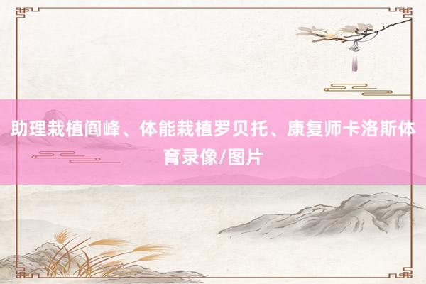 助理栽植阎峰、体能栽植罗贝托、康复师卡洛斯体育录像/图片