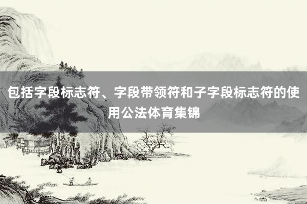 包括字段标志符、字段带领符和子字段标志符的使用公法体育集锦