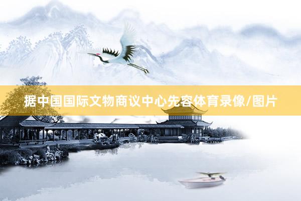 据中国国际文物商议中心先容体育录像/图片