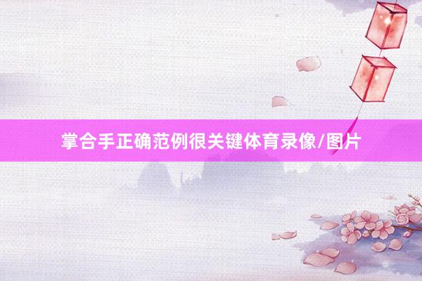 掌合手正确范例很关键体育录像/图片