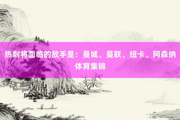 热刺将面临的敌手是：曼城、曼联、纽卡、阿森纳体育集锦