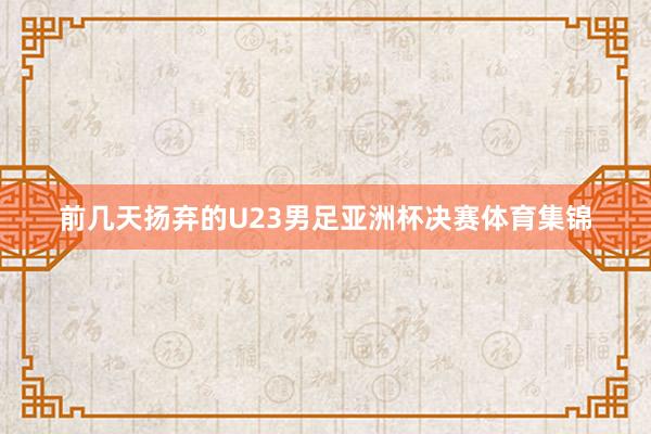 前几天扬弃的U23男足亚洲杯决赛体育集锦