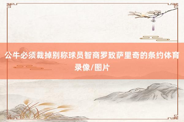 公牛必须裁掉别称球员智商罗致萨里奇的条约体育录像/图片