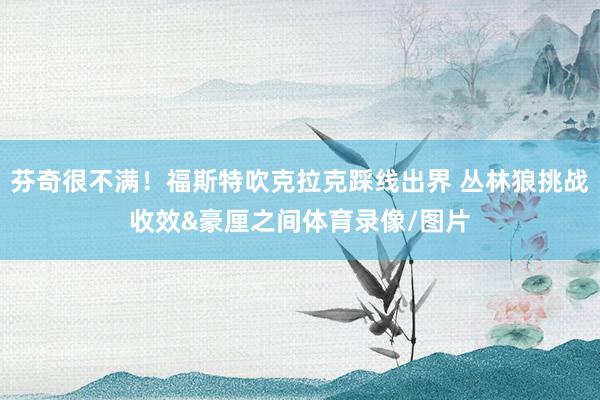 芬奇很不满！福斯特吹克拉克踩线出界 丛林狼挑战收效&豪厘之间体育录像/图片